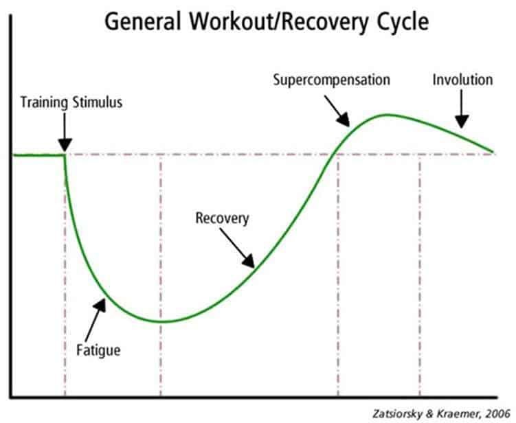 SRA Curve: workout and recovery cycle